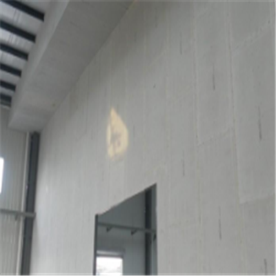 陇西宁波ALC板|EPS加气板隔墙与混凝土整浇联接的实验研讨